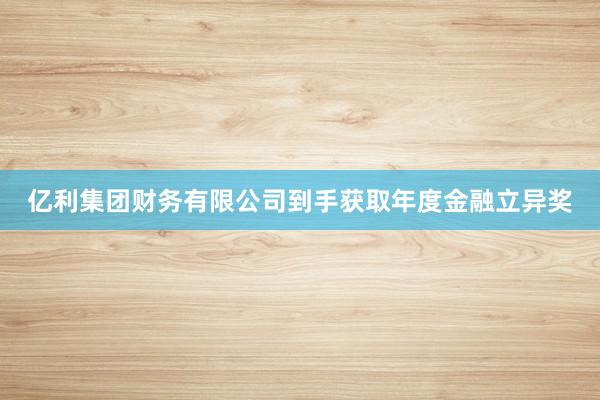 亿利集团财务有限公司到手获取年度金融立异奖